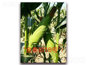 ��̩��10̖-ˮ�����׷N��-ӳɽ��