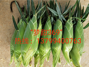 ����369-ˮ�����׷N��-ӳɽ��