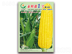 ̩�r��1̖(h��o)-ˮ�����׷N��-ӳɽ��