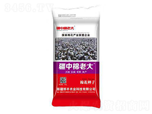 �޻��N��-�������ϴ�-���S�r(n��ng)�I(y��)