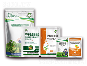 �����������ݽM��-����p�w��̖-�S�՘�