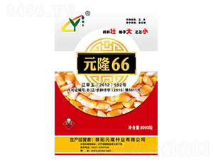 Ԫ¡66-Ԫ¡�N�I(y��)