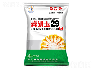 ������29-�����N�I(y��)