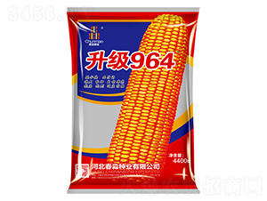 ����(j��)964-�����N�I(y��)