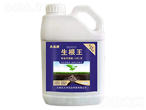 ������-���^��-���S