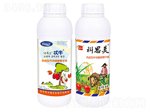 ���������｡�����AҺ-߯ţ-�A��