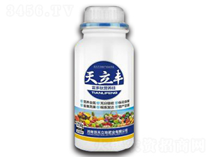 �����ĠI(y��ng)�B(y��ng)��-�����S-�������