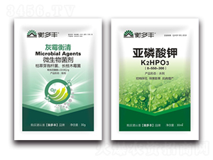 1+1�B���Ի�ù������-��ù����-����S