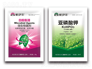 1+1�B���԰׷۲�����-�׷ۺ���-����S