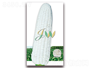 ���Ŵ808-�rʳ���׷N��-�I(y��ng)�ھ���