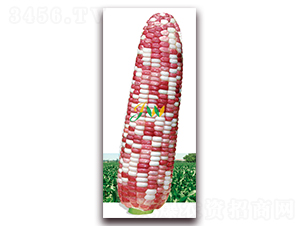 �f��ǧ�t-�rʳ���׷N��-�I(y��ng)�ھ���