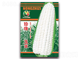 ������Ŵ����-���׷N��-�r(n��ng)֮��