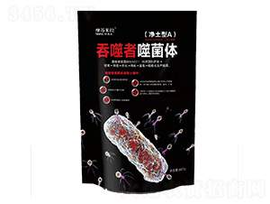 ������A-�������ɾ��w-Ħ�K����