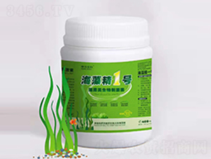 ���������̼���-���徫1̖-Ħ�K����