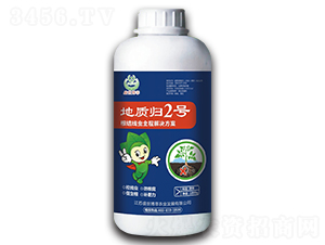 ���|(zh��)�w2̖-ʢ������