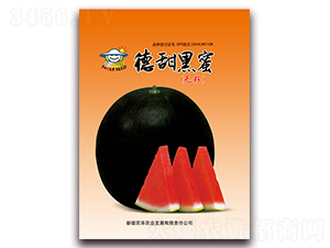 德甜黑蜜-西瓜種子-農(nóng)樂(lè)農(nóng)業(yè)