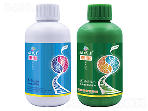 �޻����̈́�-�u�X������