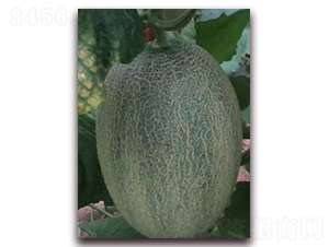 �ƾW(w��ng)���ʮ��̖-���ܹϷN��-�����N��