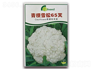 �๣ѩ��65��-�ɻ��˷N��-�����