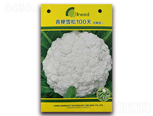 �๣ѩ��100�컨Ҭ��F1-��Ҭ�˷N��-�����