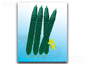 �¾G���S��-�S�ϷN��-����N�I(y��)