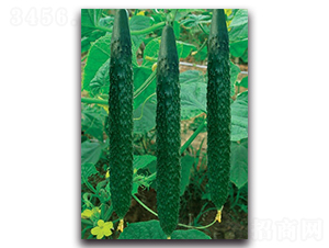 �G��(y��u)һ̖(h��o)-�S�ϷN��-����N�I(y��)