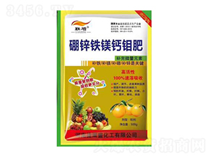 ���\�F�V�}�f��-�ݠ��S���� ��������