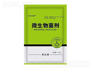 ΢�������-�W�����-������