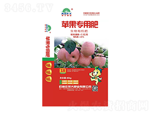 蘋果生物有機肥-榮大肥業(yè)