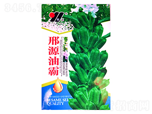 ��Դ�Ͱ�-֥��N��-��Դ�r(n��ng)�I(y��)