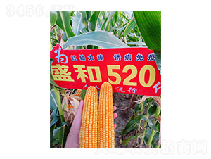 ʢ��520���׷N��Ч���D