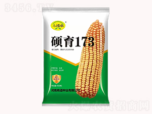 碩育173【4500?！?玉米種子-商道種業(yè)