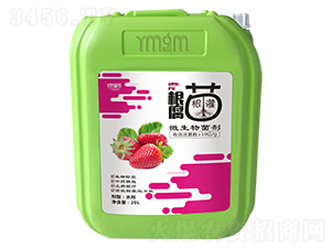 根腐專用微生物菌劑-葉美果美