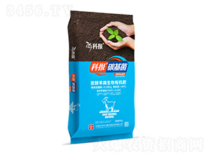 �l(f��)����S�����ЙC��-�ƈ�̼����-���r(n��ng)�d̩