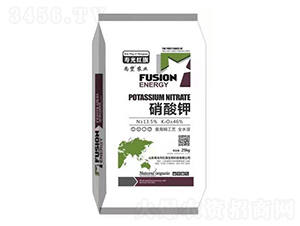 �����-�t������