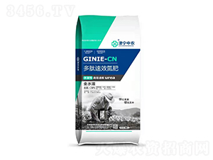 ���ĵ���-�Ѓ|�r(n��ng)