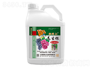 10kg΢�������-�B(y��ng)����-�ᵹɽ