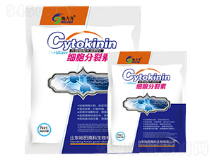 ��(x��)��������-ʩ����-ԣ��߿� 