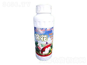 棉花朵朵豐-施富得