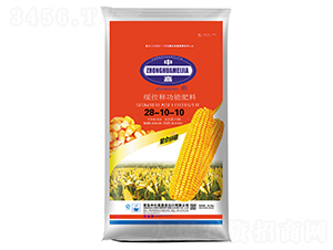 ����ጹ��ܷ���28-10-10-�л�����