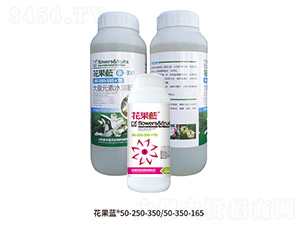 花果藍組合-嘉豐