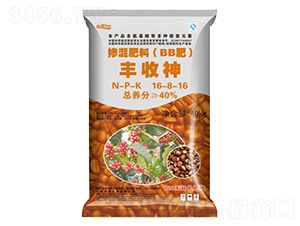 �������16-8-16