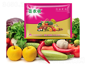 �|�r(n��ng)��-СħŮ-���н�