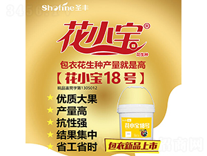 ��С��18̖(h��o)-�����N��-ʥ�S�N�I(y��)