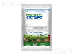 枯草芽孢桿菌-農(nóng)保生物