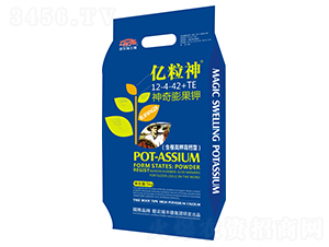 ��������12-4-42+TE-�|����-���S��