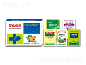 ������������ݽM��-�滯��(y��u)�v-�滯���h