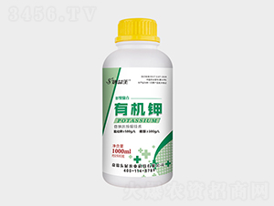 �ЙC�-������-�|չ�r(n��ng)�I(y��)