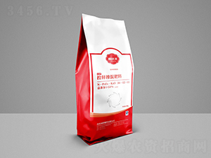 ���׌��ÿ�ጓ������26-12-13-���c�S-�GҰ����