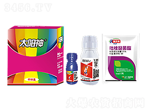 白龜太陽神-白龜生物